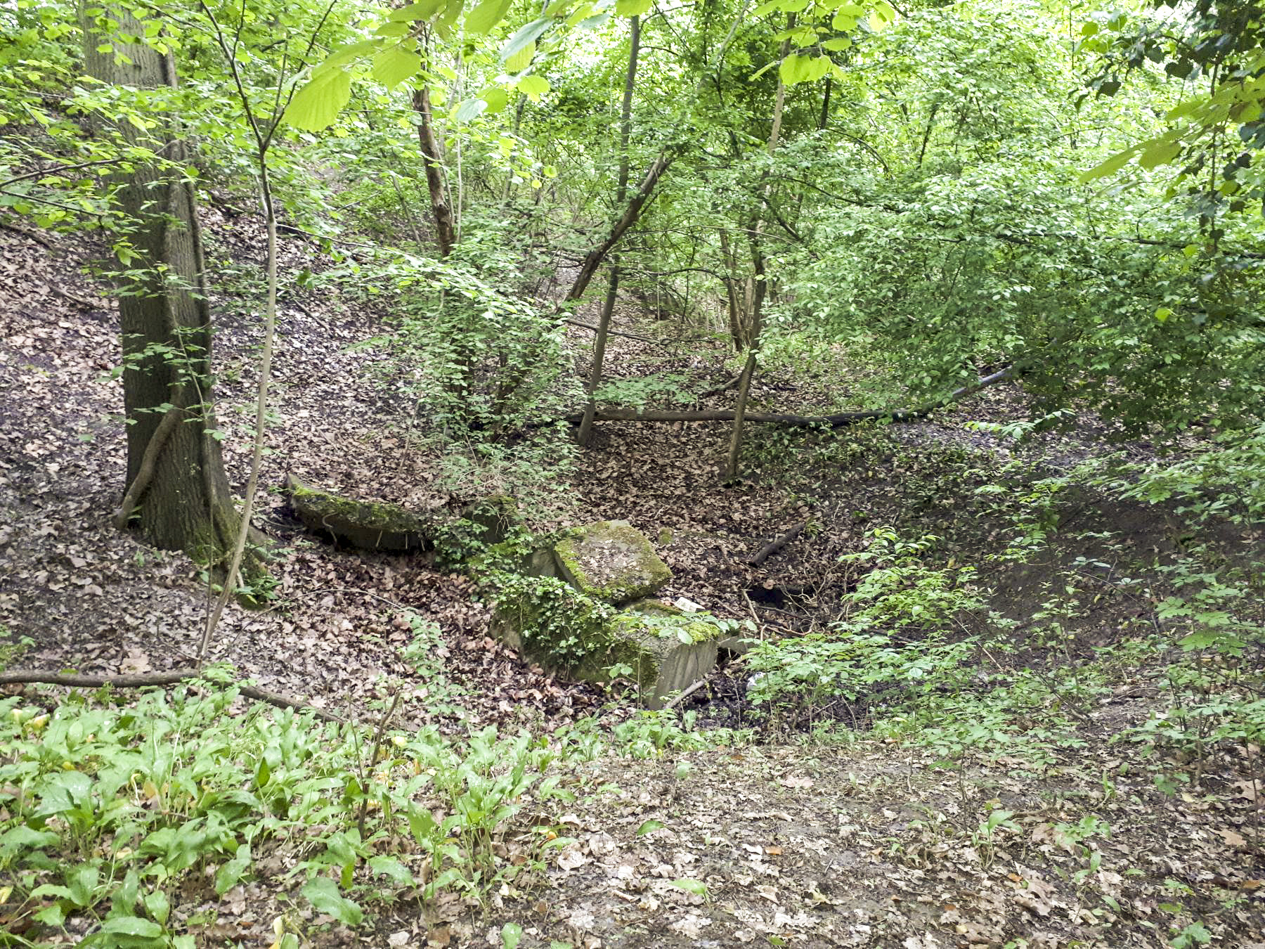 Ligne Maginot - PORT DU RHIN SUD 32BIS - (Blockhaus de type indéterminé) - Morceaux de béton dans un cratère