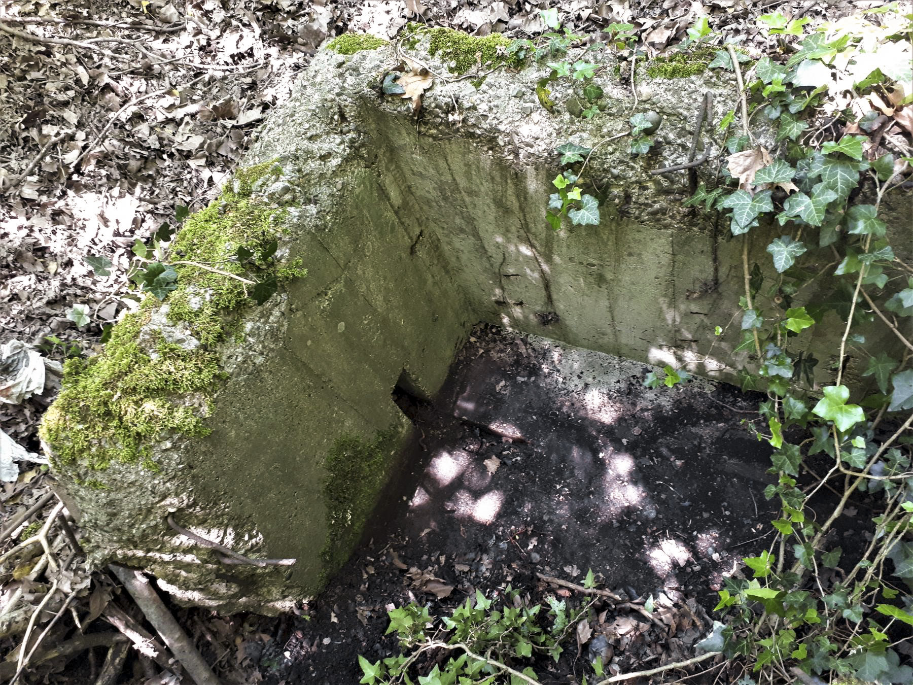Ligne Maginot - PORT DU RHIN SUD 32BIS - (Blockhaus de type indéterminé) - Le premier créneau visible, curieusement placé en coin