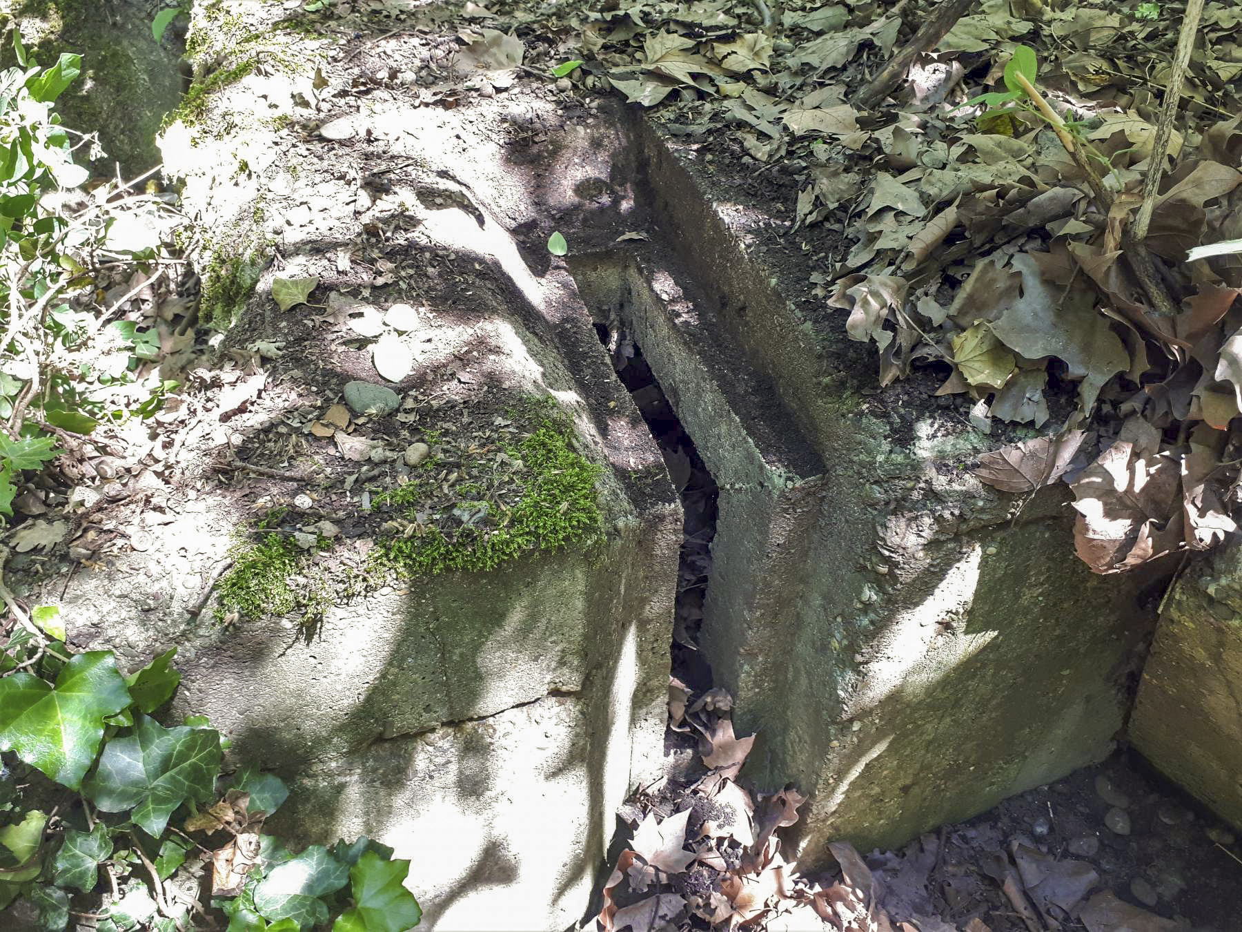 Ligne Maginot - PORT DU RHIN SUD 32BIS - (Blockhaus de type indéterminé) - Le second créneau visible, curieusement placé en coin - Les Gardiens du Rhin