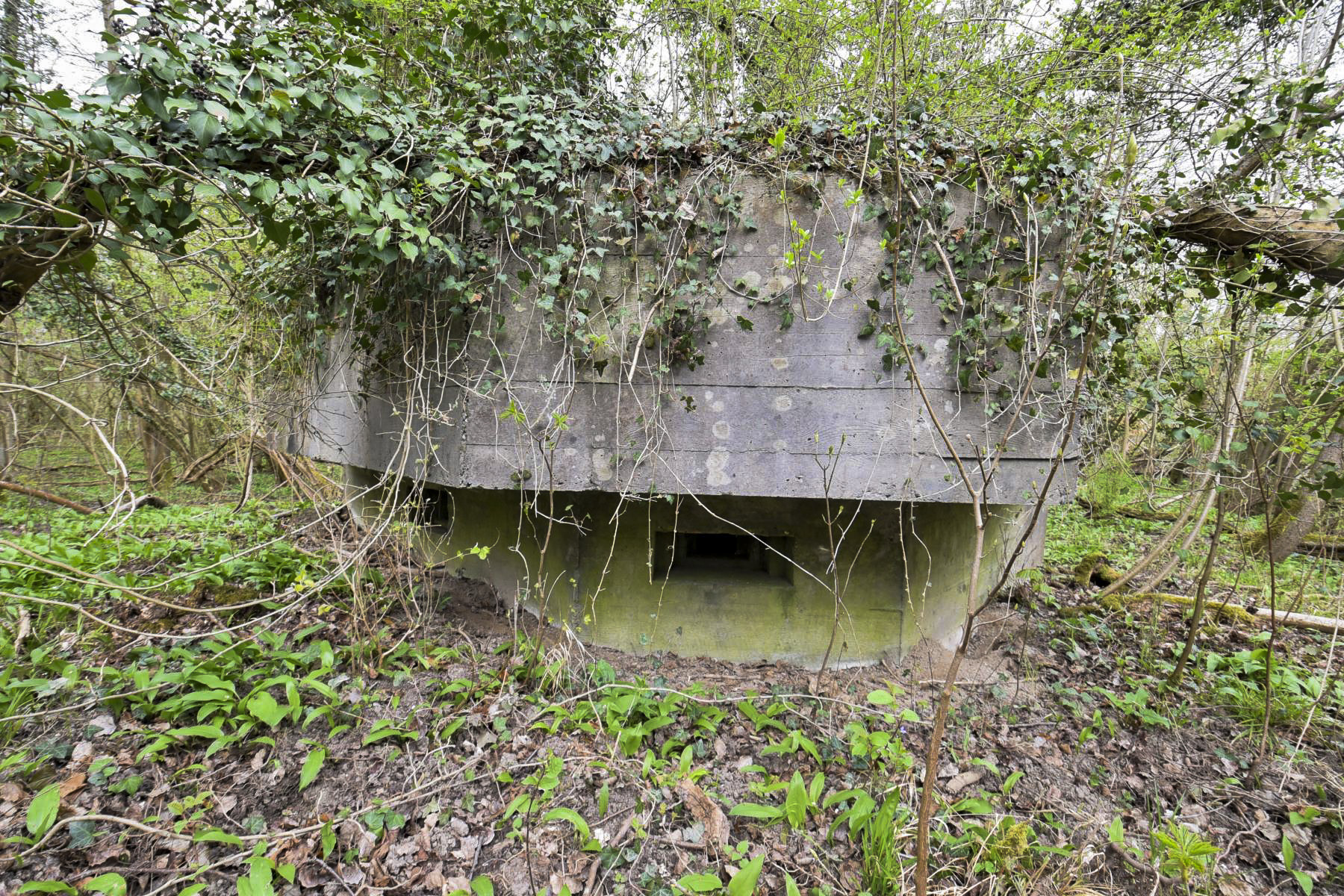 Ligne Maginot - RHIN TORTU 2 - (Blockhaus pour arme infanterie) - 