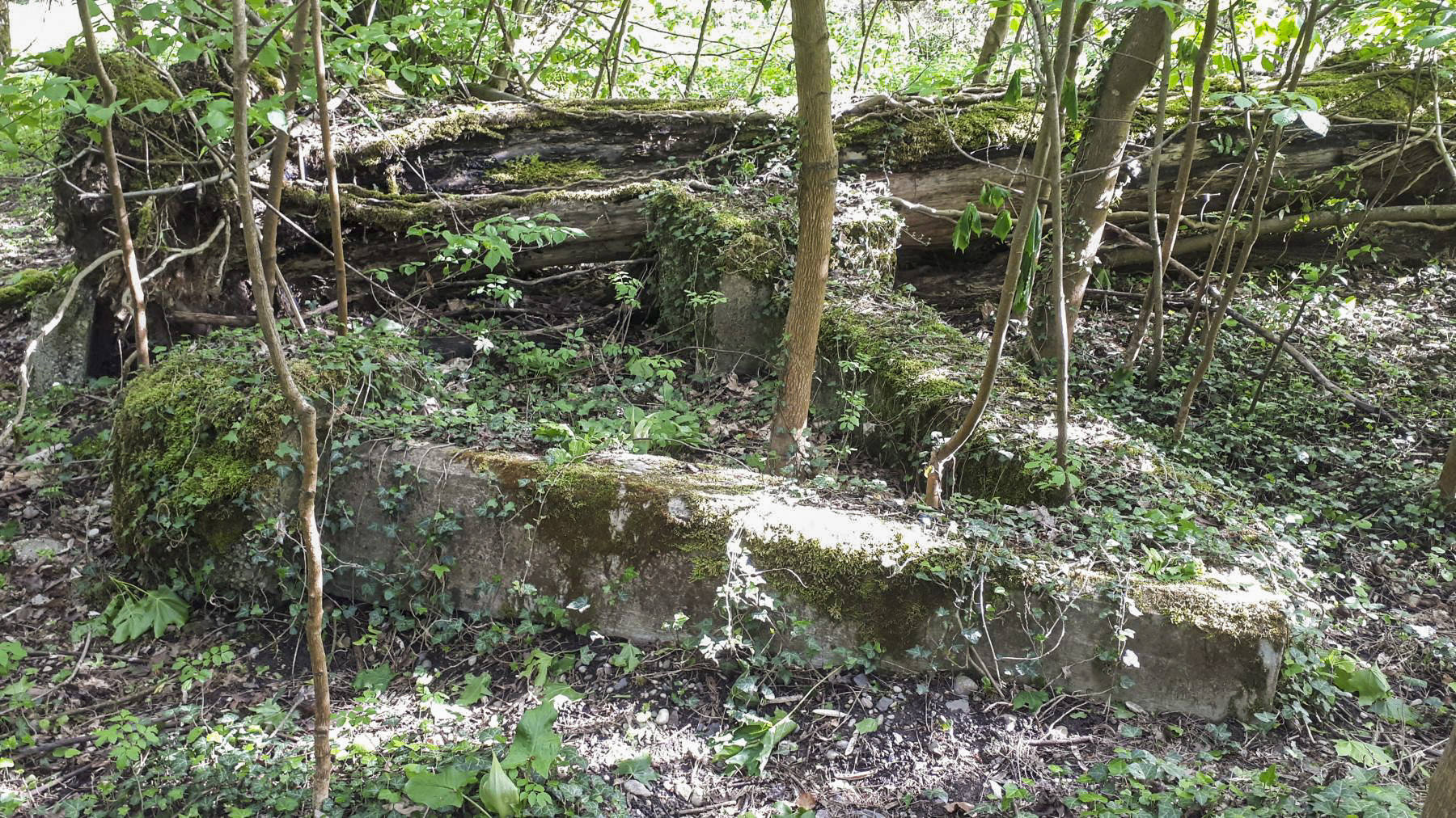 Ligne Maginot - SCHWARZWASSER - (Dépôt de Munitions) - 