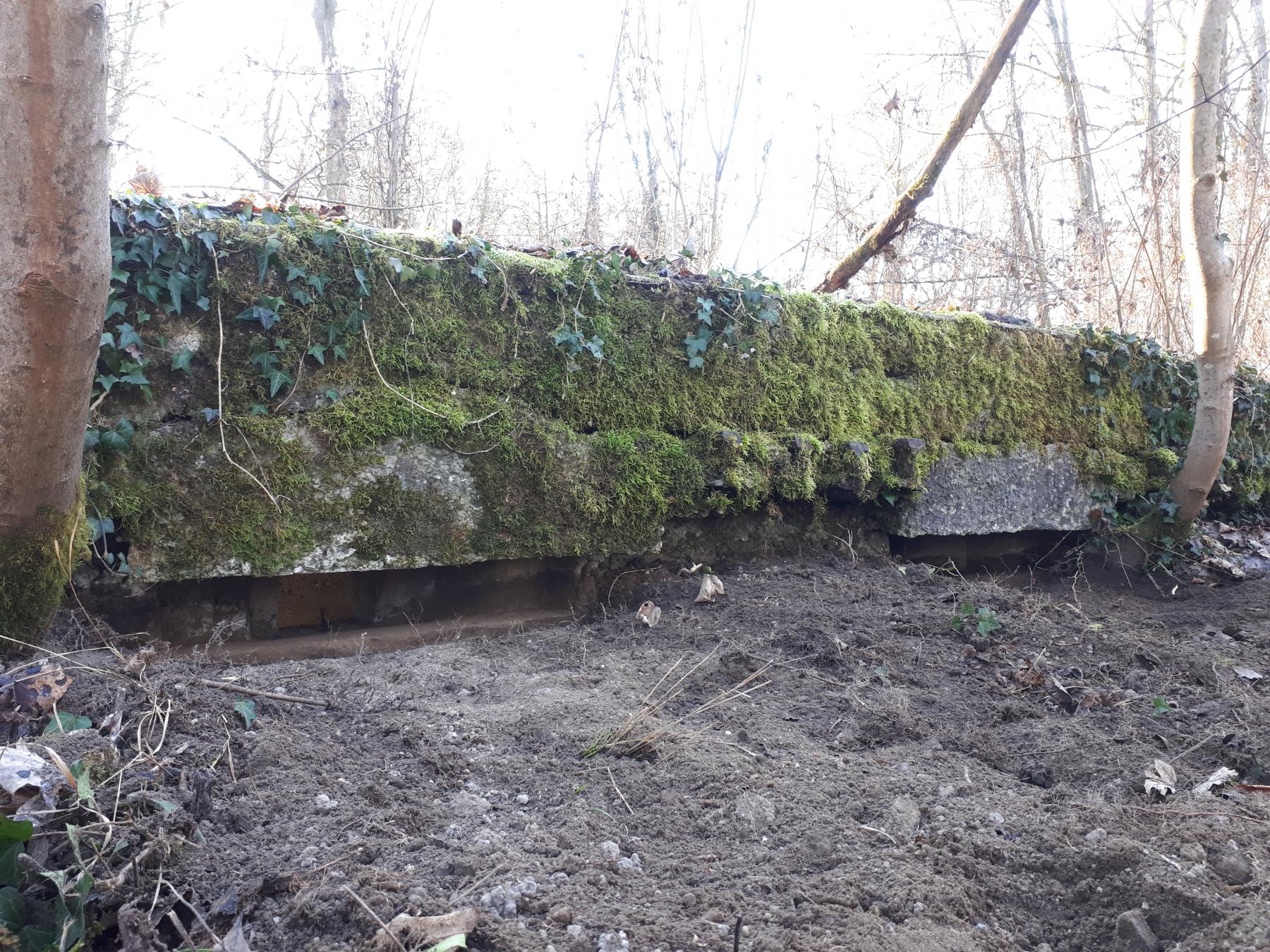Ligne Maginot - WALDHOF OUEST - (Blockhaus pour arme infanterie) - Créneaux