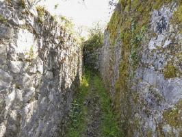 Ligne Maginot - CASTES RUINES (CR) (Ouvrage d'infanterie) - Tranchée ouest vers l'entrée nord et Castes Ruines 7