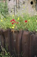 Ligne Maginot - SAINT FLORENT - (Casemate d'infanterie - Double) - 