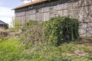 Ligne Maginot - MITTELFELD 5 - (Blockhaus pour canon) - 