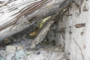 Ligne Maginot - 18/2 - SPONECK AUBERGE - (Abri) - 