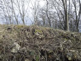 Ligne Maginot - 37/3 - ARTZENHEIM SUD - (Casemate d'infanterie - Double) - 