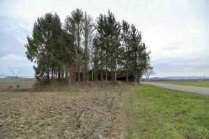 Ligne Maginot - 38/3 - BALTZENHEIM - (Casemate d'infanterie - Double) -  