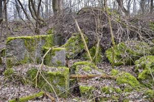Ligne Maginot - RADBRUNNEN 3 - (Blockhaus pour arme infanterie) - Vue sur l'entrée
Au premier plan, ce qui pouvait être une chambre. Au fond à gauche l'entrée vers la coupole.