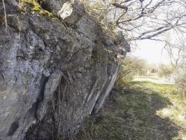 Ligne Maginot - 41/1 - SPONECK SUD - (Casemate d'infanterie - double) - Coté est, vue vers le nord