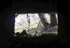 Ligne Maginot - 41/1 - SPONECK SUD - (Casemate d'infanterie - double) - Vue vers le sud
