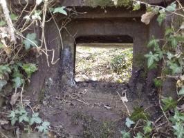 Ligne Maginot - 41/1 - SPONECK SUD - (Casemate d'infanterie - double) - 