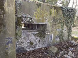 Ligne Maginot - 46/1 - LIMBOURG SUD - (Casemate d'infanterie - Double) - Vue coté nord 