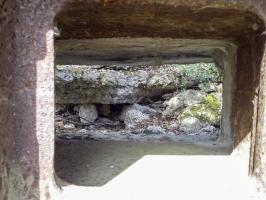 Ligne Maginot - 46/1 - LIMBOURG SUD - (Casemate d'infanterie - Double) - Vue coté sud