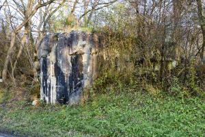 Ligne Maginot - B66 - OBERWEIDE - (Blockhaus pour arme infanterie) - Façade ouest et créneau sud sous les arbres