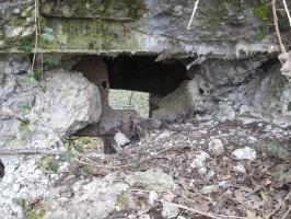 Ligne Maginot - B97 - ARTOLSHEIM EST 2 - (Blockhaus pour arme infanterie) - 