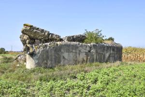 Ligne Maginot - B105 - MACKENHEIM EST - (Blockhaus pour arme infanterie) - Façade est