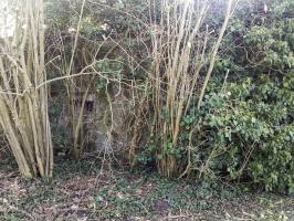 Ligne Maginot - B241 - ECLUSE 71 NORD - (Blockhaus pour arme infanterie) - 