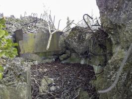 Ligne Maginot - B609 - ROSENWEIERHOF - (Blockhaus pour arme infanterie) - 