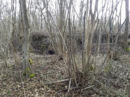 Ligne Maginot - ECLUSE 63 (CM5/II/42° RIF) - (PC de Sous-Quartier) - 