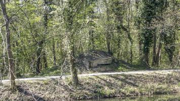 Ligne Maginot - ECLUSE 65 SUD - (Blockhaus pour arme infanterie) - 