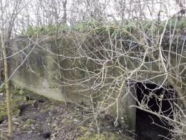 Ligne Maginot - ELSENHEIM 1 - (Abri) - 