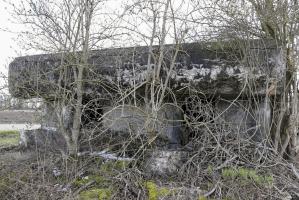 Ligne Maginot - JEBSHEIM 1 - (Abri) - 