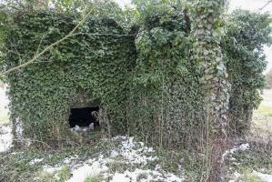 Ligne Maginot - JEBSHEIM 4 - (Abri) - 