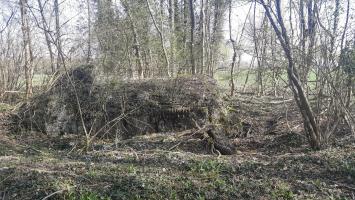 Ligne Maginot - KELLERSCHOELZEL 1 - (Blockhaus de type indéterminé) - 