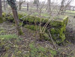 Ligne Maginot - MAUCHENE - (Abri) - 