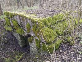 Ligne Maginot - MAUCHENE - (Abri) - 