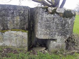 Ligne Maginot - ROUTE DE RIEDWIHR 5 - (Abri) - 