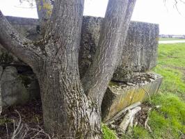 Ligne Maginot - ROUTE DE RIEDWIHR 5 - (Abri) - 