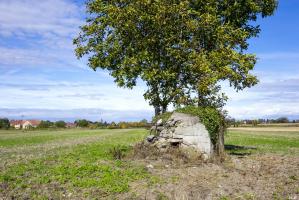 Ligne Maginot - SOELGEL - (Blockhaus pour arme infanterie) - 