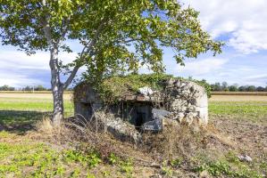 Ligne Maginot - SOELGEL - (Blockhaus pour arme infanterie) - 