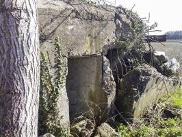 Ligne Maginot - SOELGEL - (Blockhaus pour arme infanterie) - 