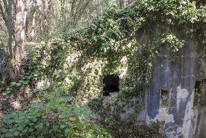 Ligne Maginot - 26/2 - NAMBSHEIM DIGUE - (Abri) - On aperçoit à gauche l'ouverture de l''extension' du blockhaus