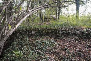 Ligne Maginot - 26/2 - NAMBSHEIM DIGUE - (Abri) - Dalle de toit de l'ouvrage