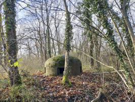 Ligne Maginot - 26/2 - NAMBSHEIM DIGUE - (Abri) - La cloche GFM