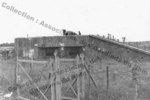 Ligne Maginot - 49/3 - BALGAU SUD - (Casemate d'infanterie - double) - 