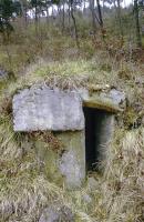 Ligne Maginot - COL DE BRAUS EST 1 - (Abri) - 