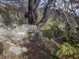 Ligne Maginot - COL DE BRAUS - (Blockhaus pour arme infanterie) - 