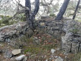 Ligne Maginot - COL DE BRAUS - (Blockhaus pour arme infanterie) - 