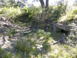 Ligne Maginot - BAISSE DU PAPE - (Cuve pour arme d'infanterie) - 