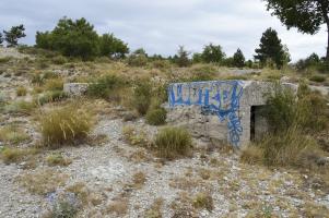 Ligne Maginot - BAISSE DU PAPE (2° BIE 157° RAP) - (Position d'artillerie préparée) - Reste de l’abri