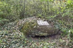 Ligne Maginot - BOIS DE DESSENHEIM EST 3 - (Blockhaus pour arme infanterie) - Coupole sans son cartouche