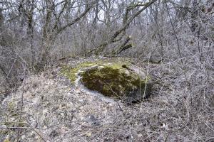 Ligne Maginot - BOIS DE DESSENHEIM SUD 2 - (Blockhaus pour arme infanterie) - Coupole 7e RM