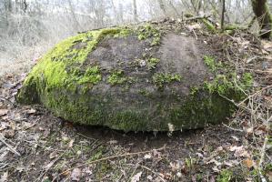 Ligne Maginot - BOIS DE DESSENHEIM SUD 2 - (Blockhaus pour arme infanterie) - 
