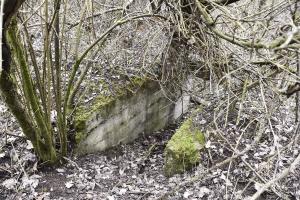 Ligne Maginot - BOIS DE DESSENHEIM SUD 5 - (Abri) - L'entrée
