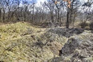 Ligne Maginot - BOIS DE DESSENHEIM SUD 7 - (Position d'artillerie préparée) - Vue sur une partie de la position, avec l'abri ex-allemand à droite.